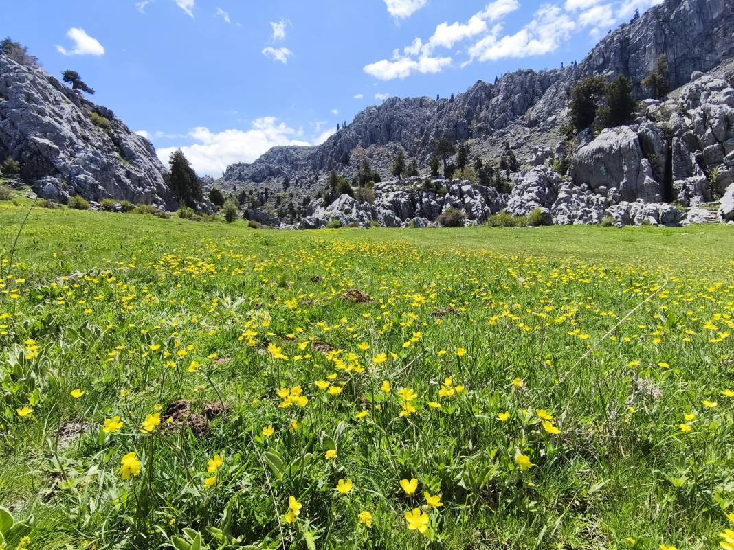 Konya’nın ünlü yaylasında baharın renkli yüzü çıktı 22